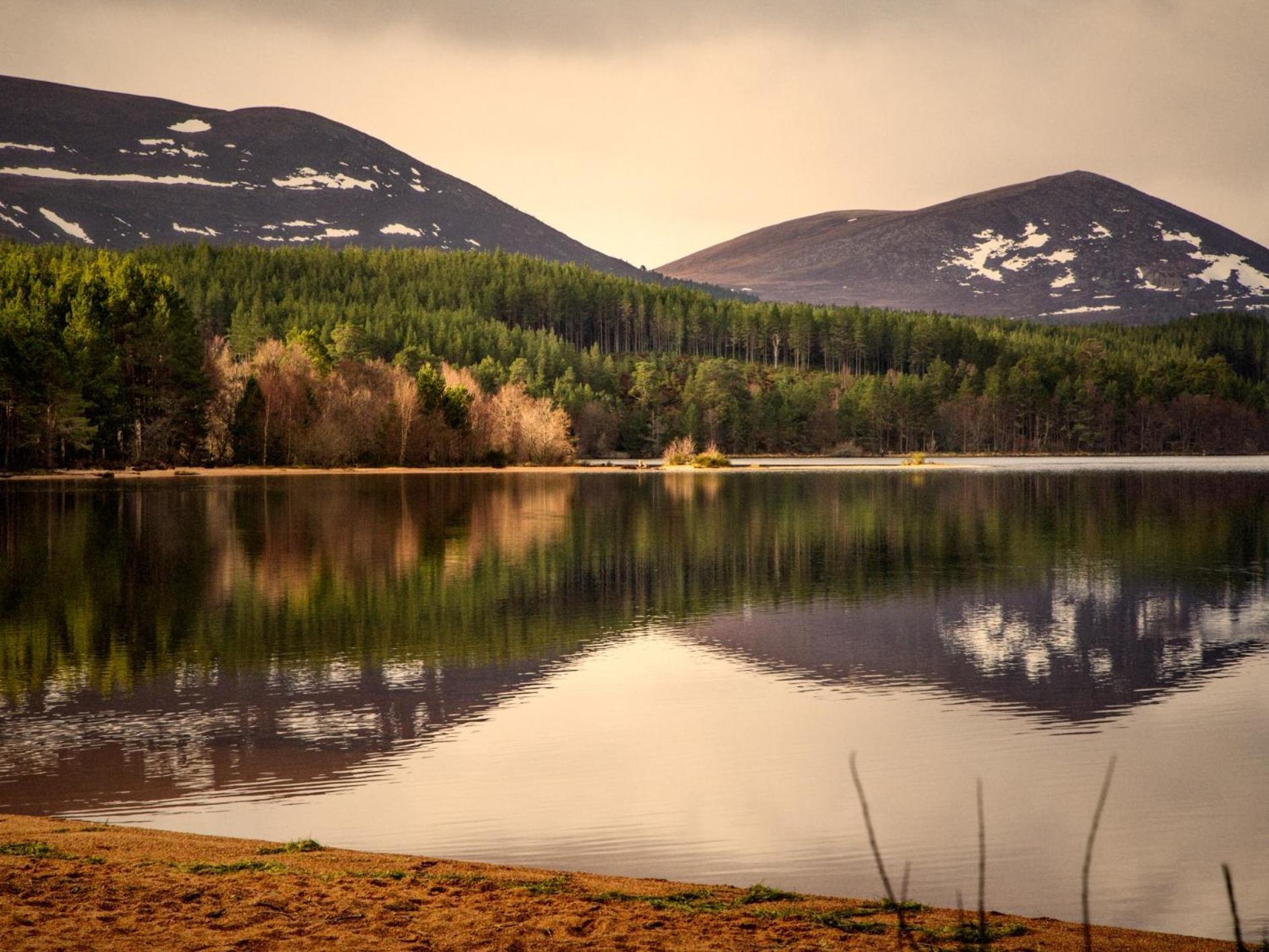 Checkers Cottage - Beaufort Estate Belladrum ภายนอก รูปภาพ